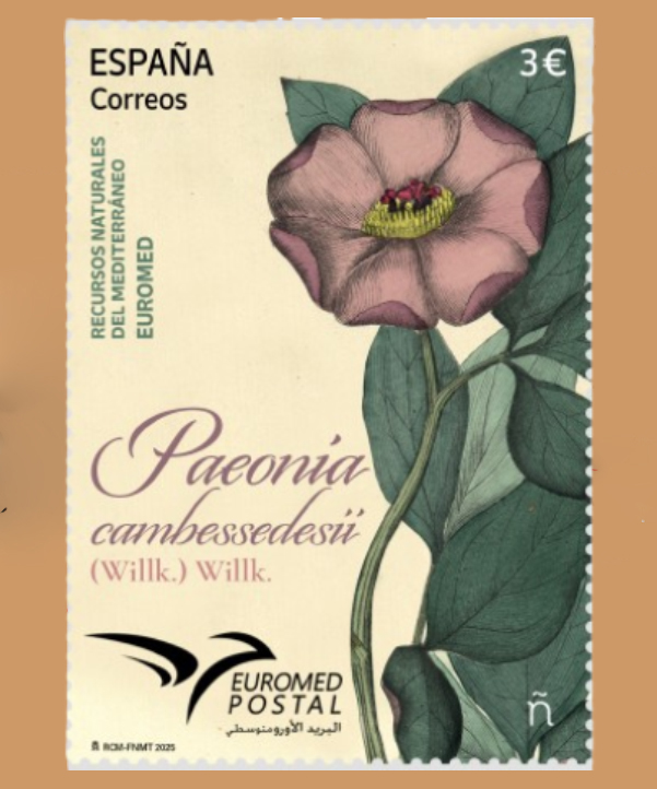 Recursos naturales del Mediterráneo